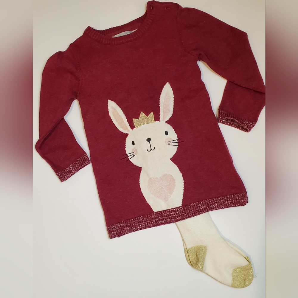 Fuzzy Bunny Girl's Sweater Dress with Tights 12-18 Months
